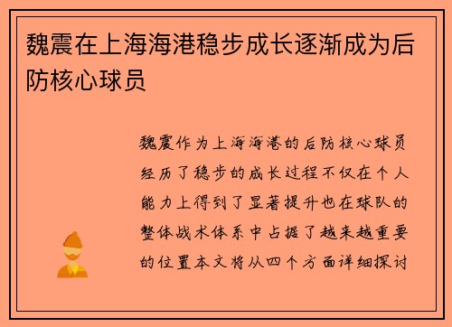 魏震在上海海港稳步成长逐渐成为后防核心球员